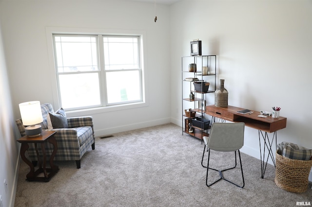 home office with light colored carpet