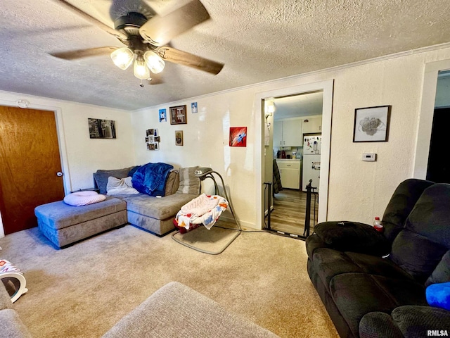 carpeted living room featuring a textured ceiling, ceiling fan, and crown molding