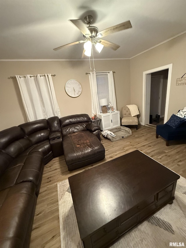 living room with ceiling fan, light wood-type flooring, and crown molding