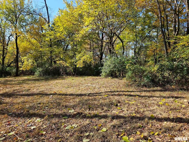 4.2ACRES Zachary Ave, Montpelier IA, 52759 land for sale