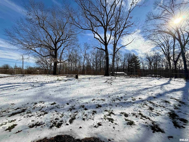 view of yard covered in snow