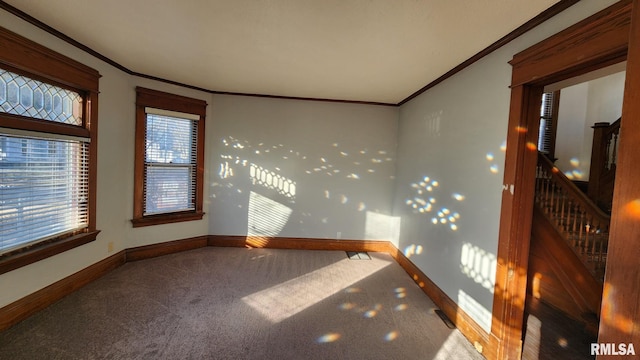 spare room with carpet floors and crown molding