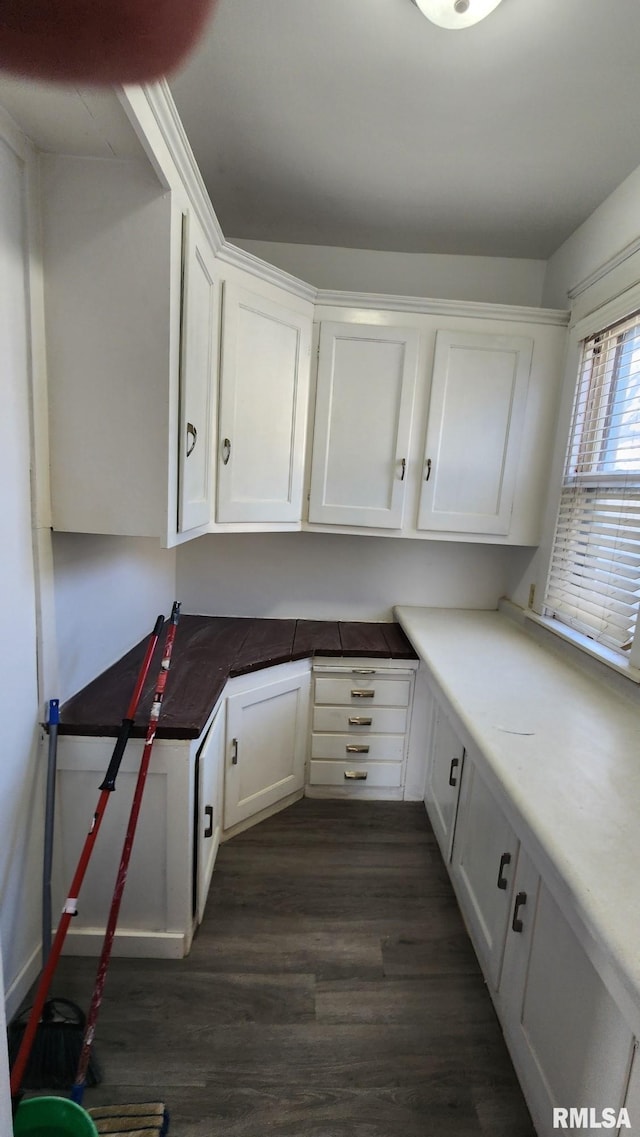 clothes washing area featuring dark hardwood / wood-style flooring