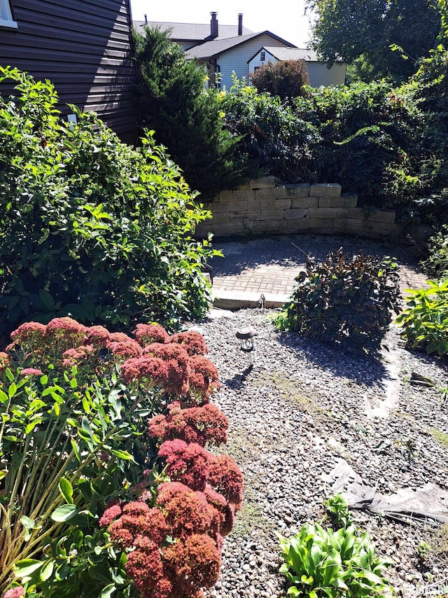 view of yard with a patio area