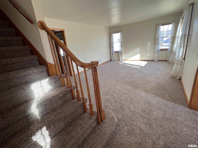 staircase featuring a healthy amount of sunlight and carpet flooring