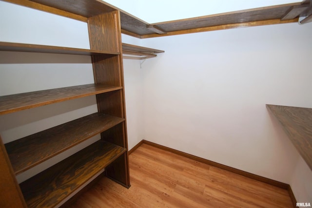 walk in closet with light wood-type flooring