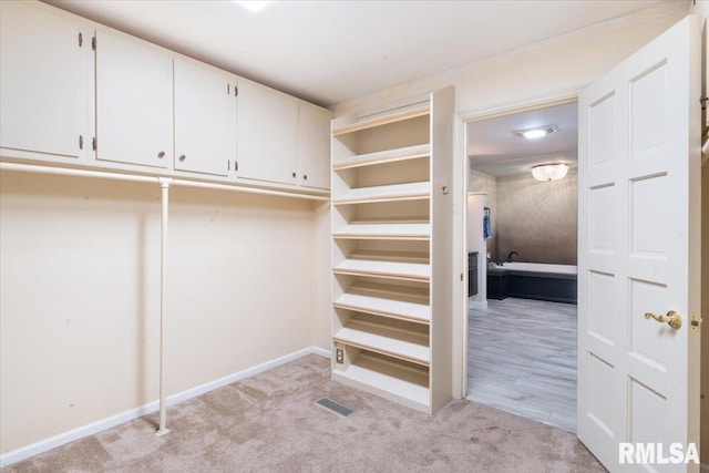 spacious closet with visible vents and light carpet