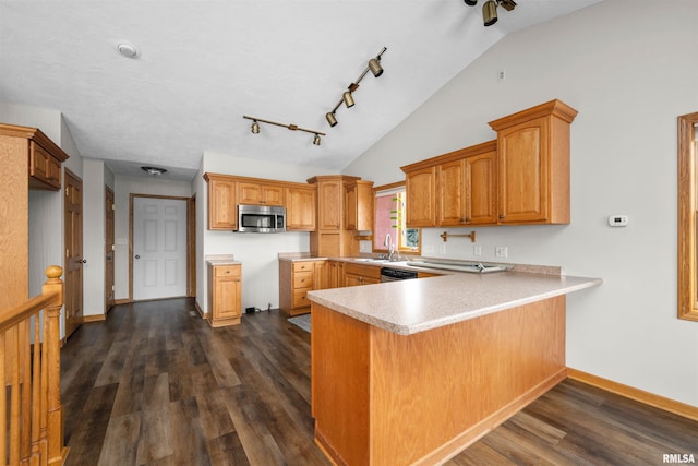 2260 260th Ave, De Witt, IA 52742 - kitchen with stainless steel appliances, a peninsula, dark wood-style flooring, baseboards, and a sink