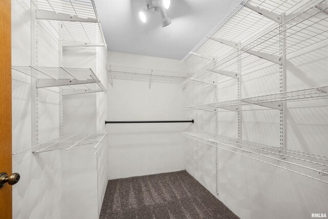 2260 260th Ave, De Witt, IA 52742 - spacious closet featuring carpet floors