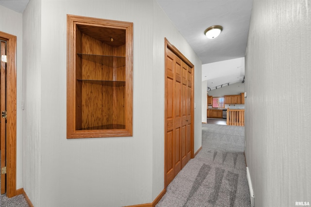 2260 260th Ave, De Witt, IA 52742 - hallway with carpet floors, baseboards, and lofted ceiling