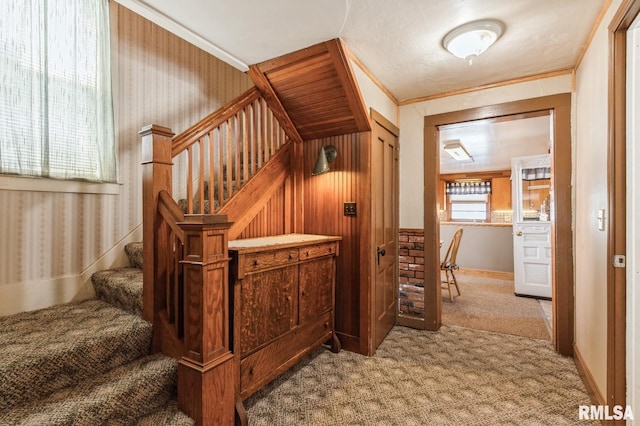 stairs featuring carpet floors and ornamental molding