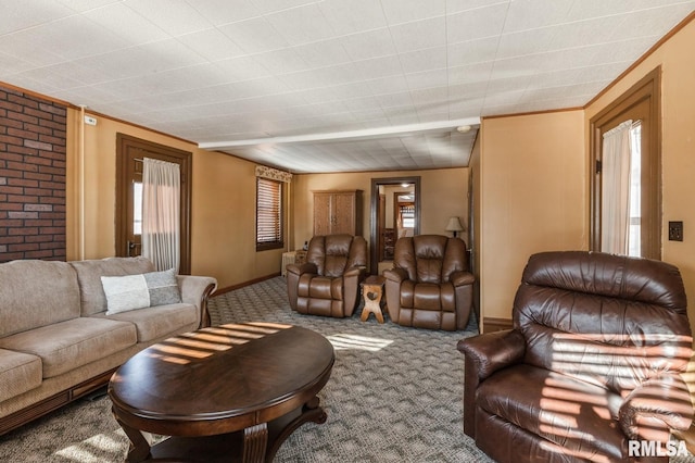 living room with crown molding and carpet flooring