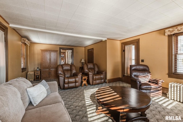 living room featuring carpet and radiator