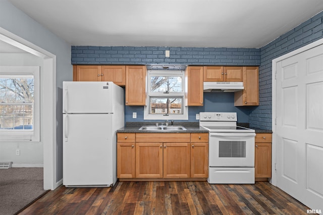 kitchen featuring sink, white appliances, dark wood-type flooring, and a healthy amount of sunlight