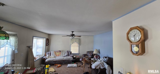 living room featuring carpet flooring and ceiling fan