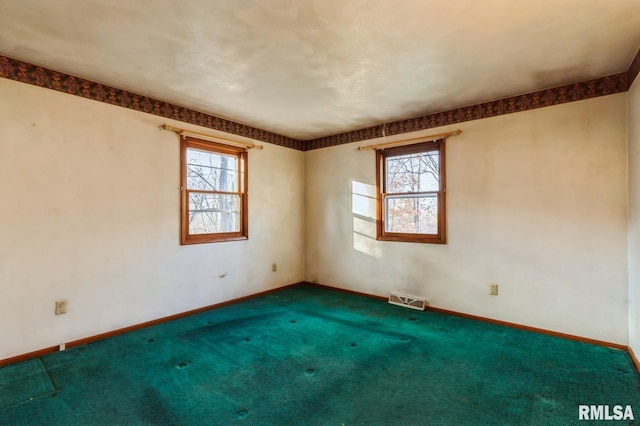 empty room featuring a wealth of natural light and carpet flooring