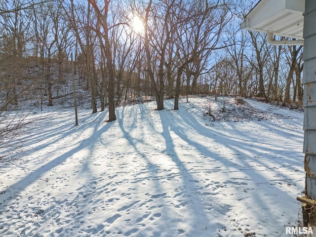 view of snowy yard