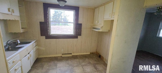 interior space featuring sink and wood walls