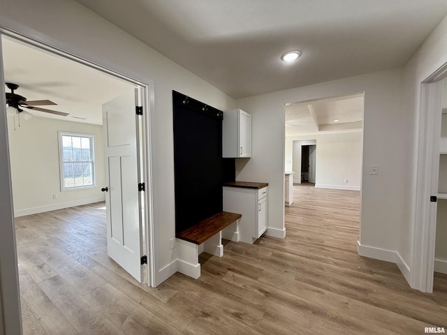 hallway with a raised ceiling and light wood-type flooring