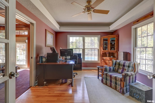 office space featuring a raised ceiling, ceiling fan, a textured ceiling, and light hardwood / wood-style floors