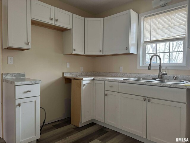 kitchen featuring light countertops, white cabinetry, a sink, and wood finished floors