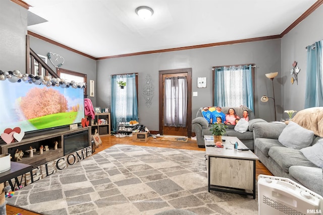 living room featuring ornamental molding, plenty of natural light, and a fireplace