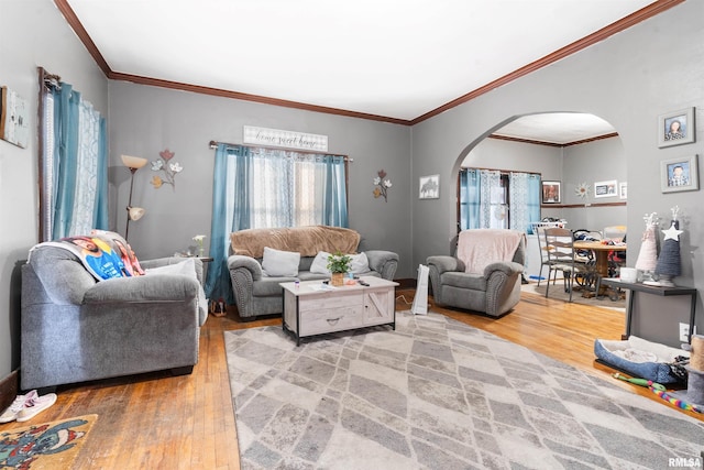 living room featuring ornamental molding, light hardwood / wood-style floors, and plenty of natural light