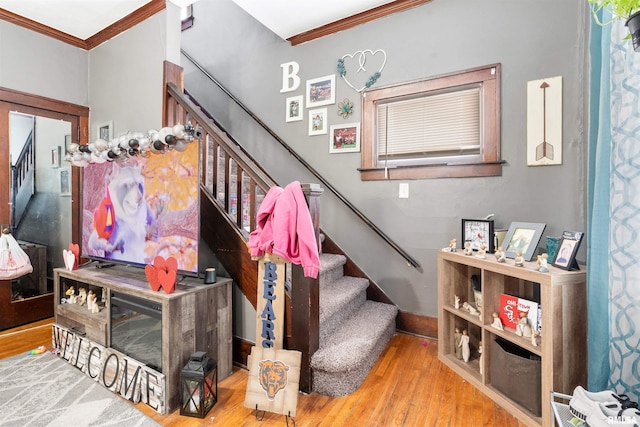 stairs featuring ornamental molding and wood-type flooring