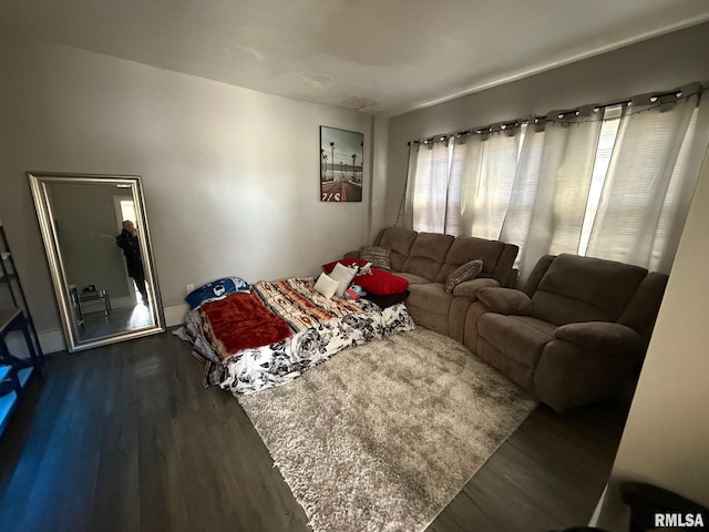 living room featuring dark wood-type flooring