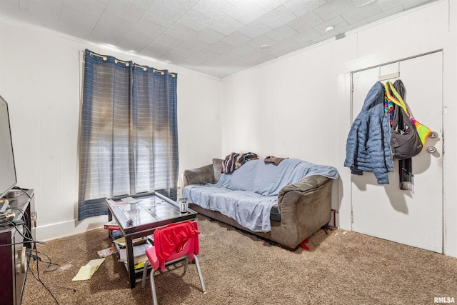 bedroom with crown molding and carpet flooring