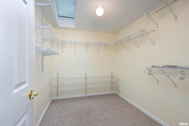 spacious closet with carpet floors