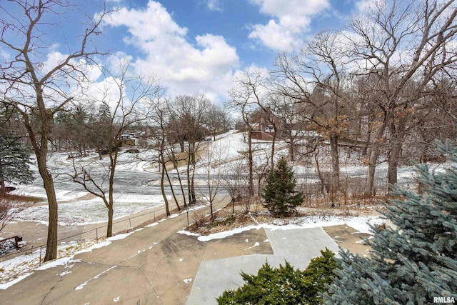 view of yard layered in snow