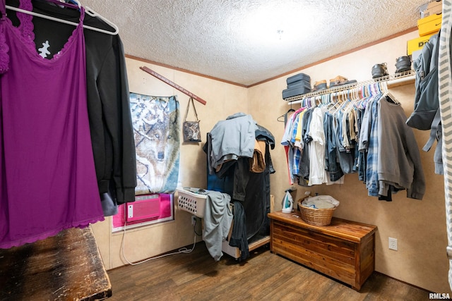 spacious closet with dark hardwood / wood-style floors