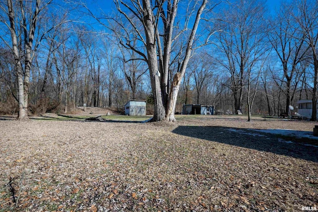 view of yard featuring a storage unit