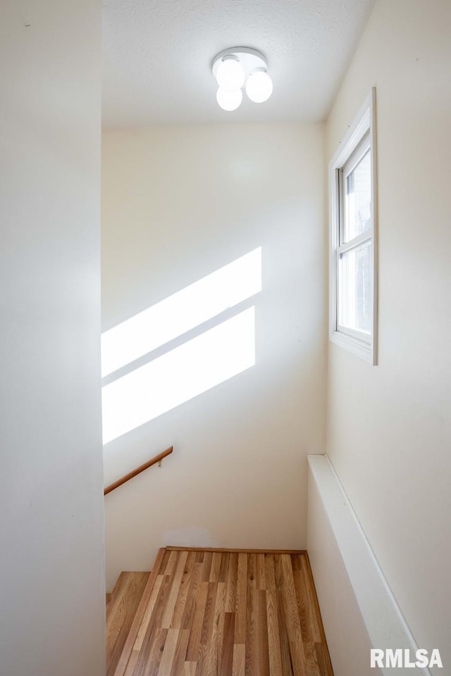 interior space featuring hardwood / wood-style floors and a skylight