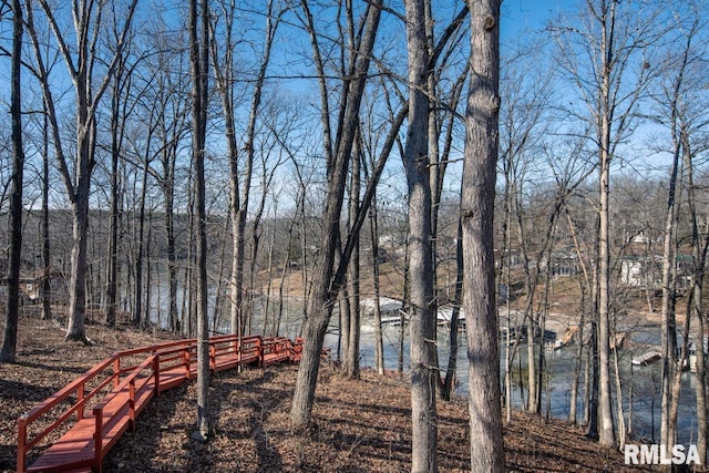 view of yard with a water view