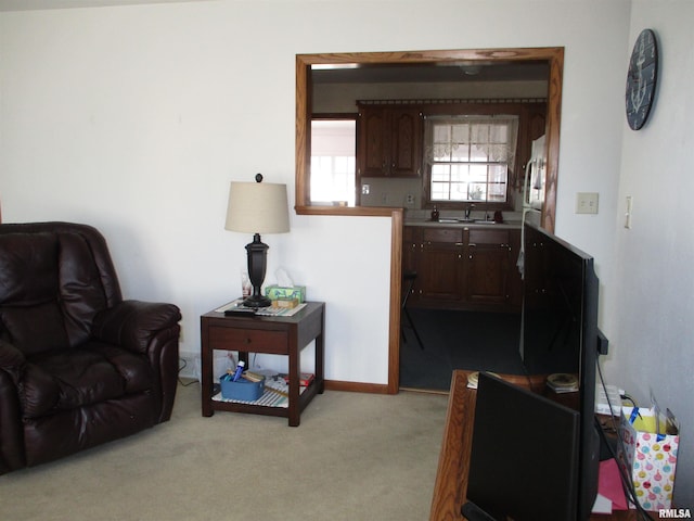 living room featuring light colored carpet and sink