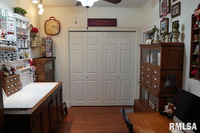 25065 Rock Springs Hollow Rd, Thebes, IL 62990 - interior space with dark wood-style flooring and ceiling fan