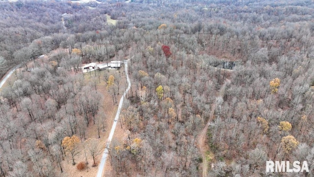 25065 Rock Springs Hollow Rd, Thebes, IL 62990 - birds eye view of property featuring a view of trees