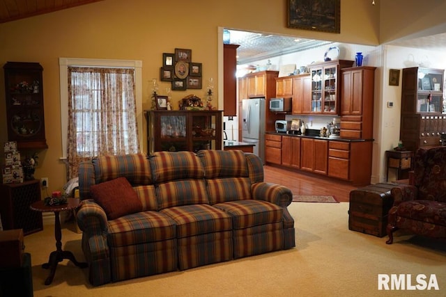 25065 Rock Springs Hollow Rd, Thebes, IL 62990 - living room featuring wood finished floors and lofted ceiling