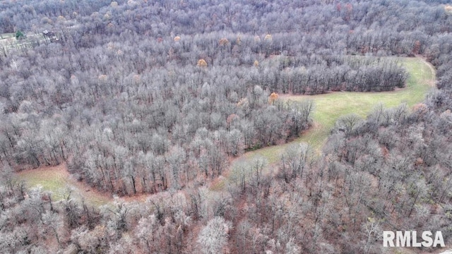 25065 Rock Springs Hollow Rd, Thebes, IL 62990 - birds eye view of property featuring a forest view