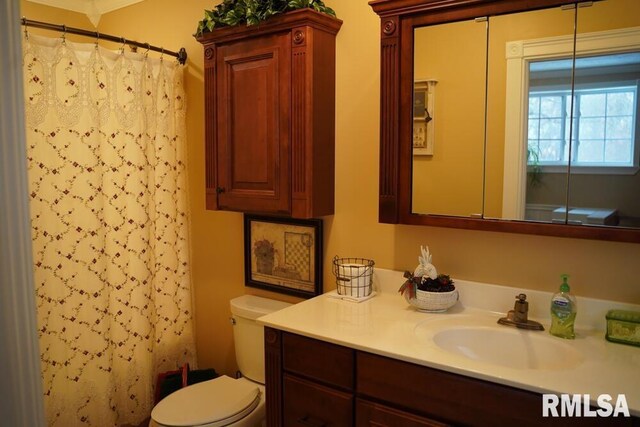 25065 Rock Springs Hollow Rd, Thebes, IL 62990 - full bathroom featuring toilet, a shower with shower curtain, and vanity