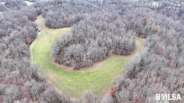 25065 Rock Springs Hollow Rd, Thebes, IL 62990 - aerial view with a view of trees