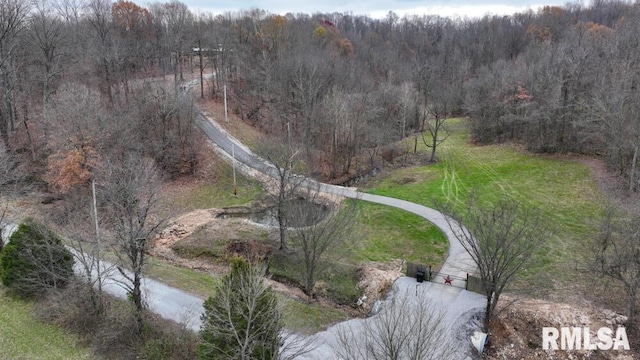25065 Rock Springs Hollow Rd, Thebes, IL 62990 - aerial view with a view of trees