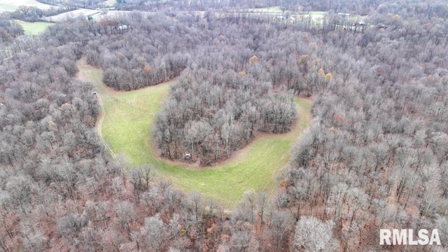 25065 Rock Springs Hollow Rd, Thebes, IL 62990 - drone / aerial view featuring a forest view