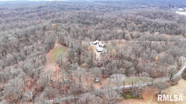 25065 Rock Springs Hollow Rd, Thebes, IL 62990 - birds eye view of property with a forest view
