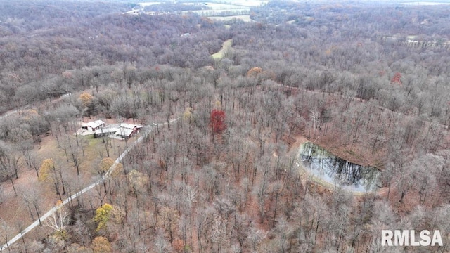 25065 Rock Springs Hollow Rd, Thebes, IL 62990 - birds eye view of property with a wooded view