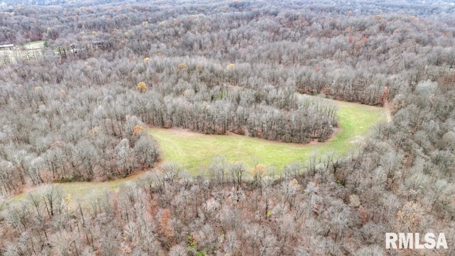 25065 Rock Springs Hollow Rd, Thebes, IL 62990 - birds eye view of property featuring a forest view
