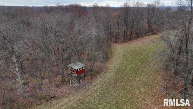25065 Rock Springs Hollow Rd, Thebes, IL 62990 - birds eye view of property featuring a forest view