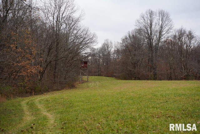 25065 Rock Springs Hollow Rd, Thebes, IL 62990 - view of yard